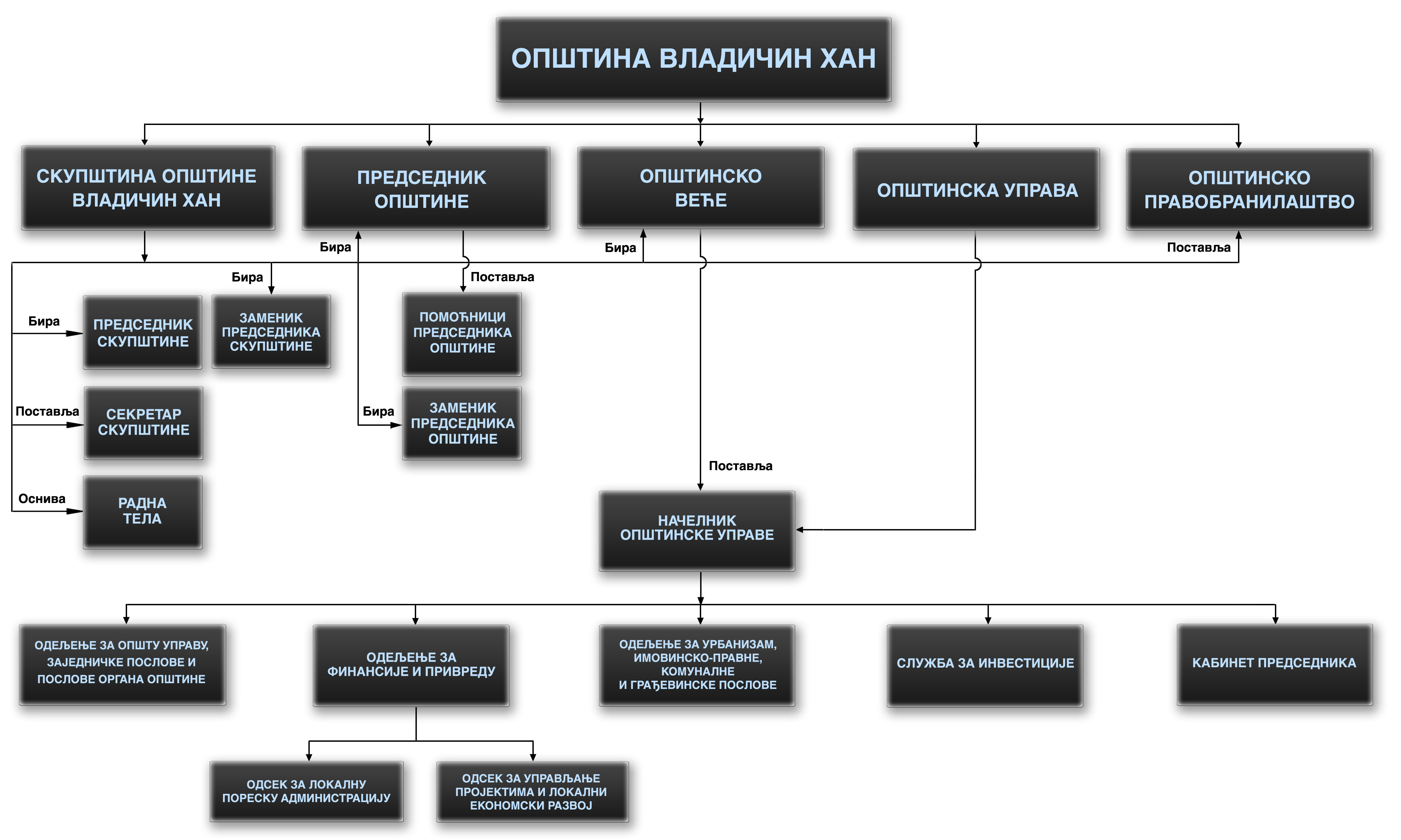Grafički prikaz organizacione strukture Opštine Vladičin Han